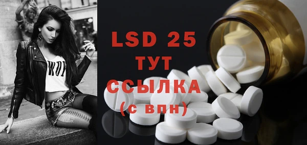 крисы Баксан