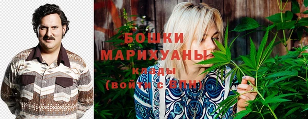 крисы Баксан