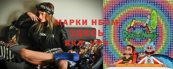 крисы Баксан